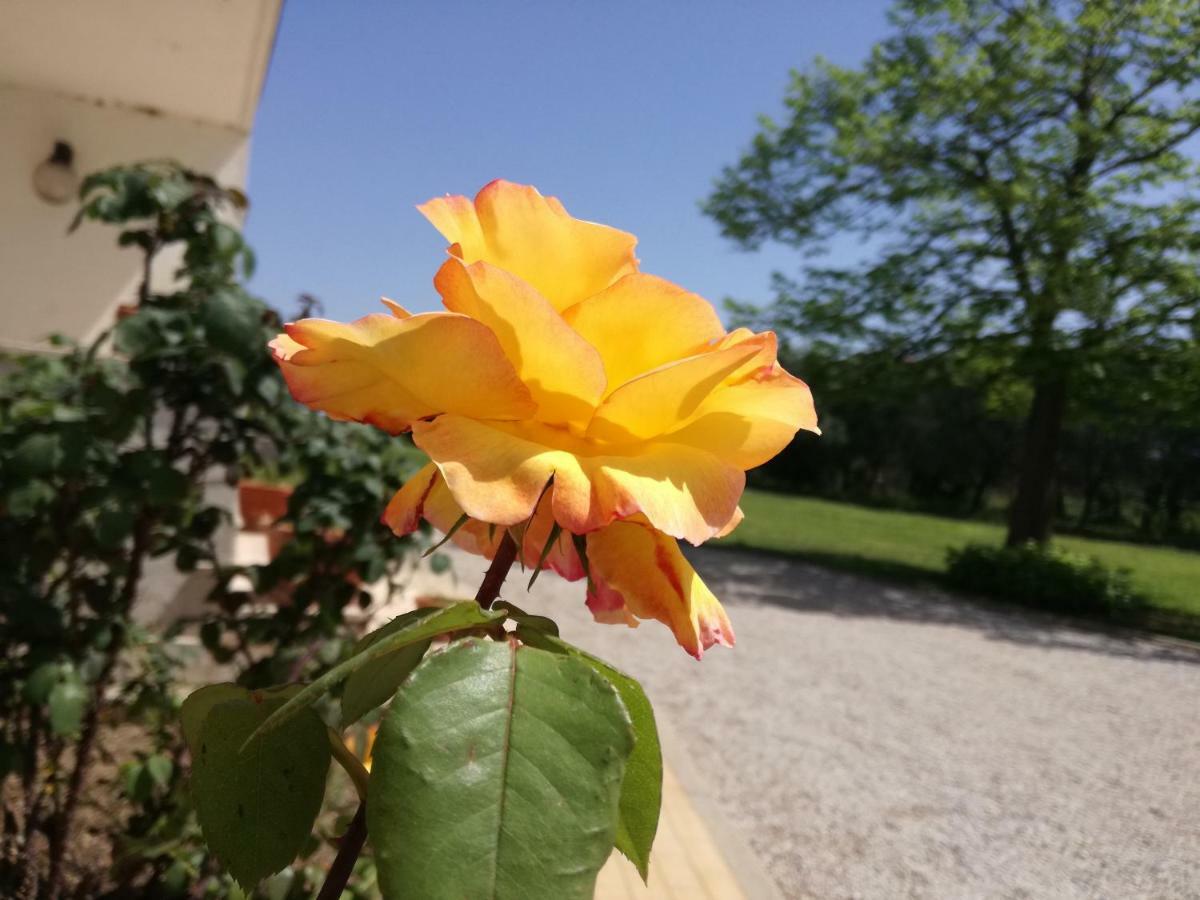 B&B Villa Napoli 바티파리아 외부 사진