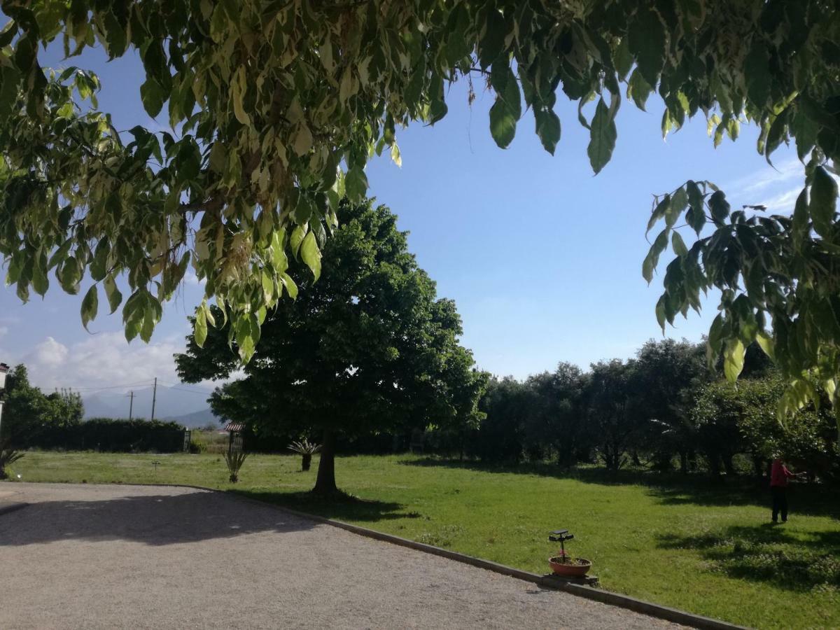 B&B Villa Napoli 바티파리아 외부 사진