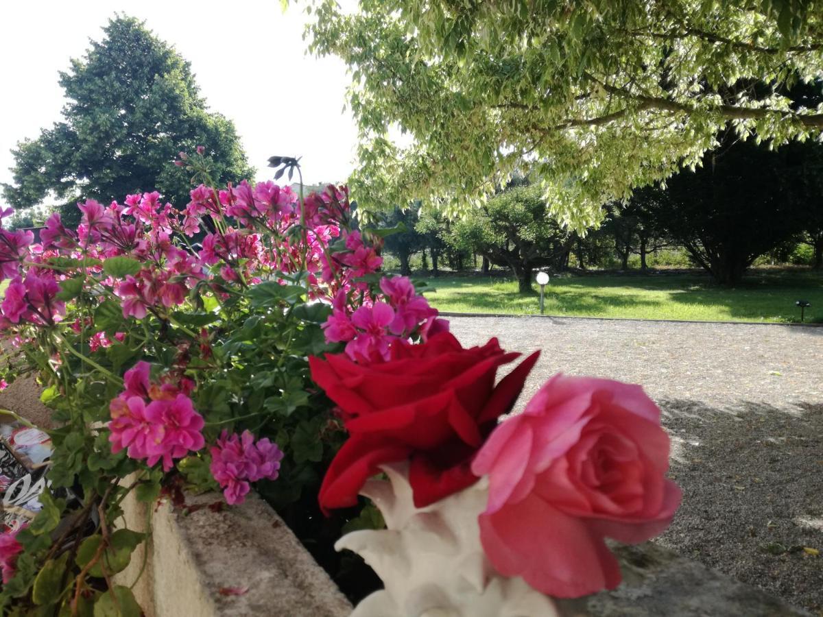 B&B Villa Napoli 바티파리아 외부 사진