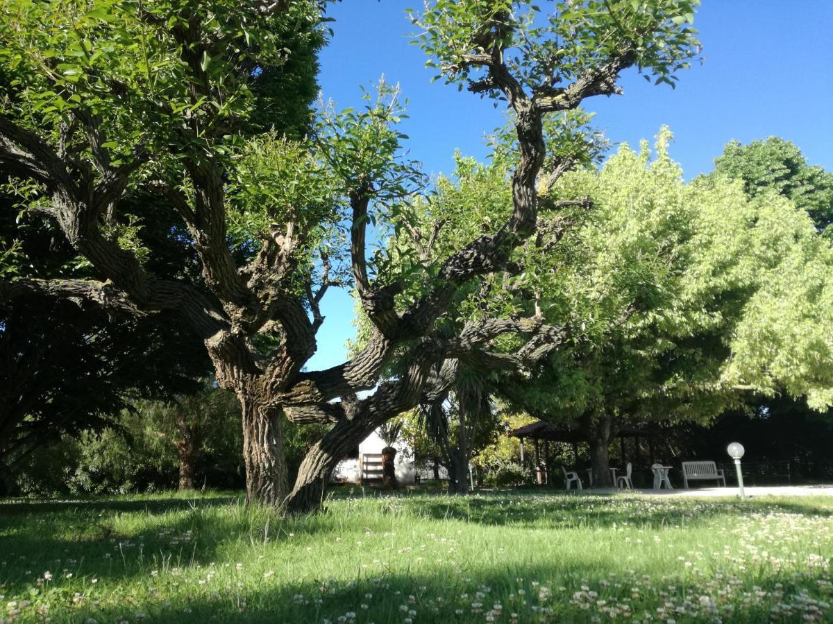 B&B Villa Napoli 바티파리아 외부 사진